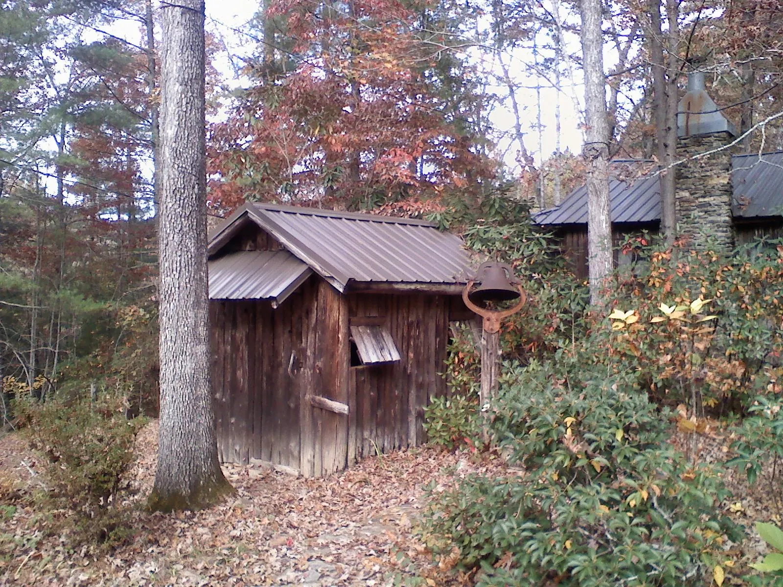 Small metal roof on a rough sawn shed in the woods in Clayton